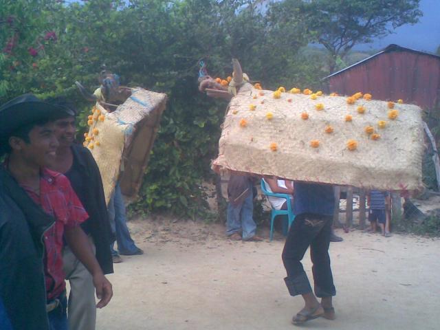 danza del toro petate( fiesta de todos los santos)