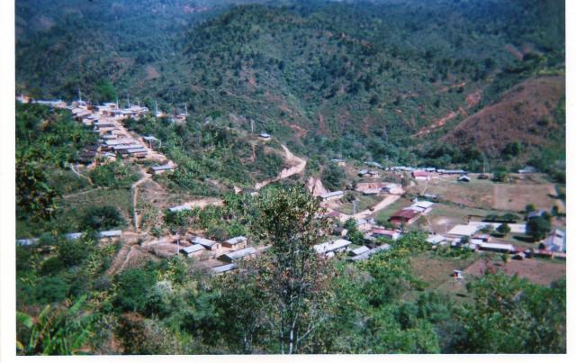 YERBA SANTA (EL DIAMANTE DE LA MONTAA)