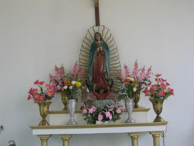 la virgen de tierra generosa