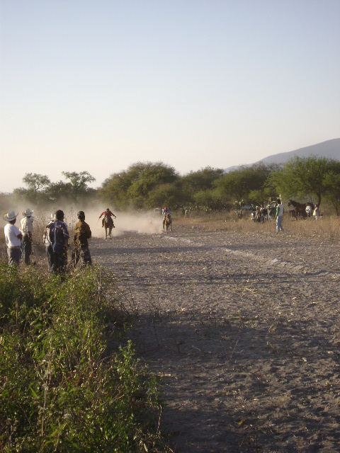 Carrera de caballos