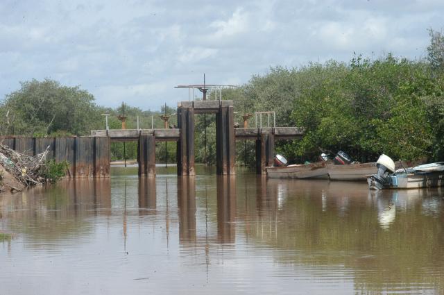 puente de fierro