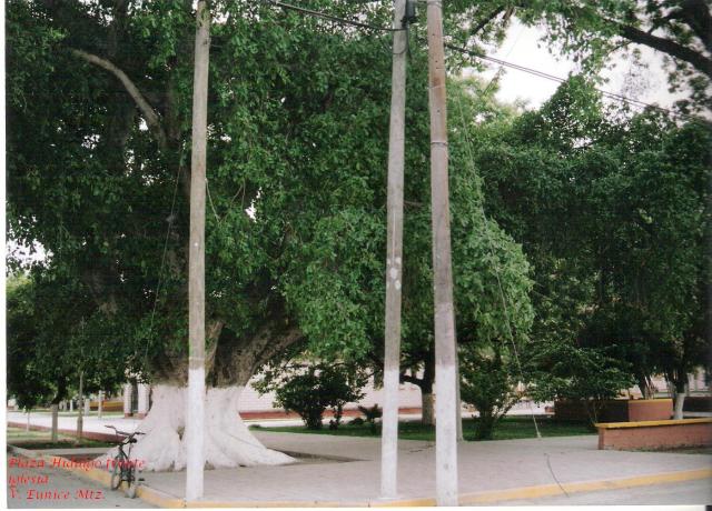 Plaza Hidalgo frente iglesia