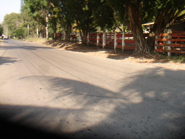 carretera a ameluca