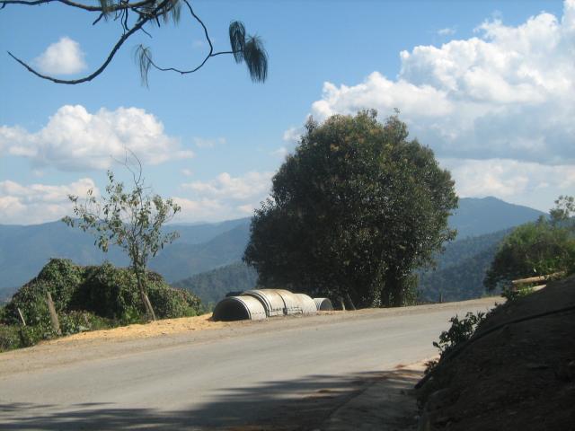 CARRETERA A PANDOLOMA