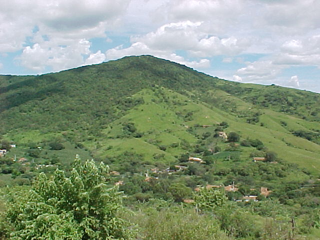 zacatlancillo