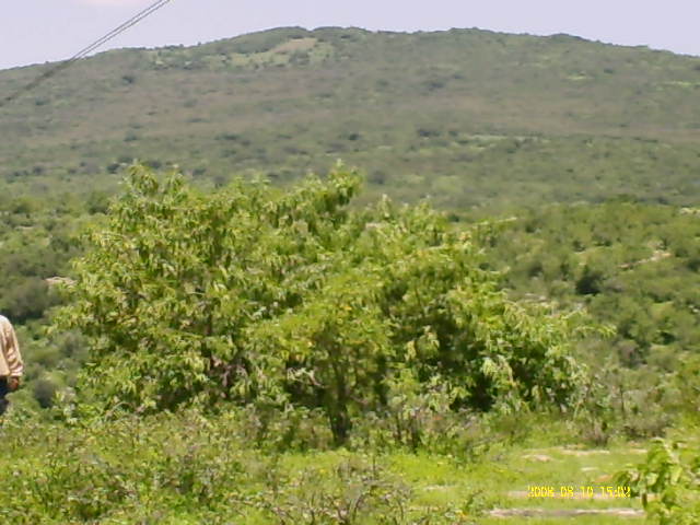 Tinaja Ranch