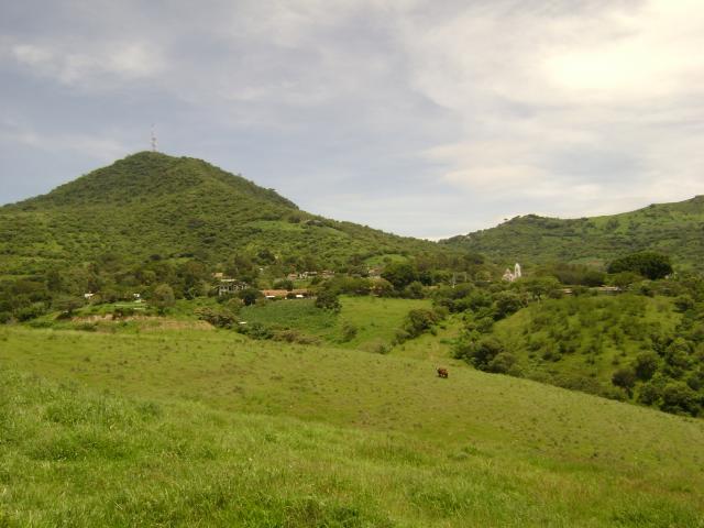 desde el campo