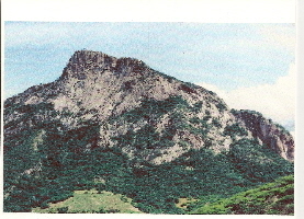 la pena