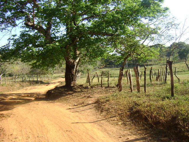 camino hacia la Catalina