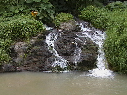 la cascada del mamey