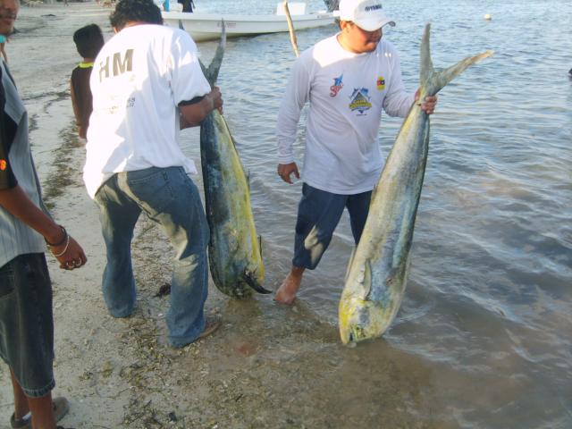 torneo de pesca