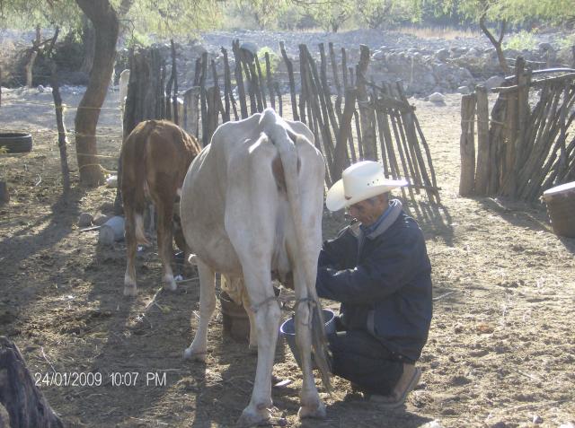 teodoro ordeando