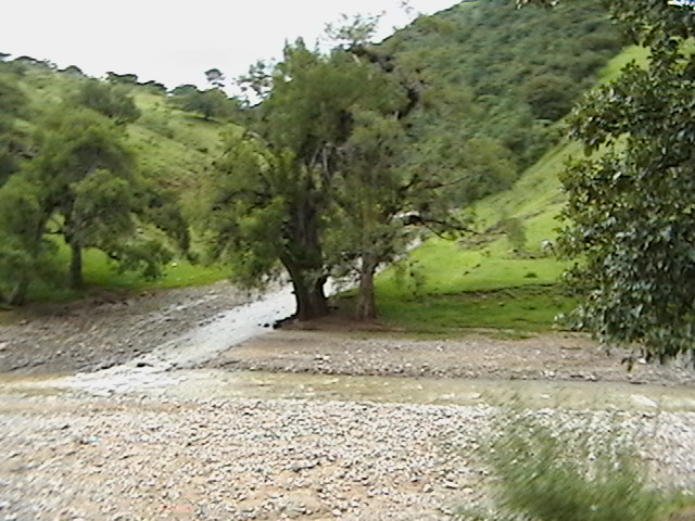 barranca de cenisa