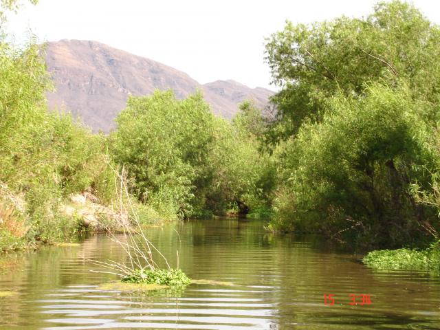 rio sahuaripa