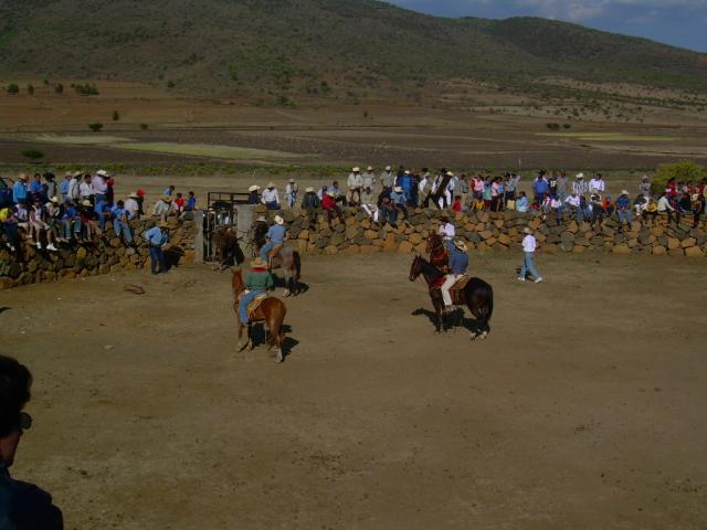 la alberca jaripeo