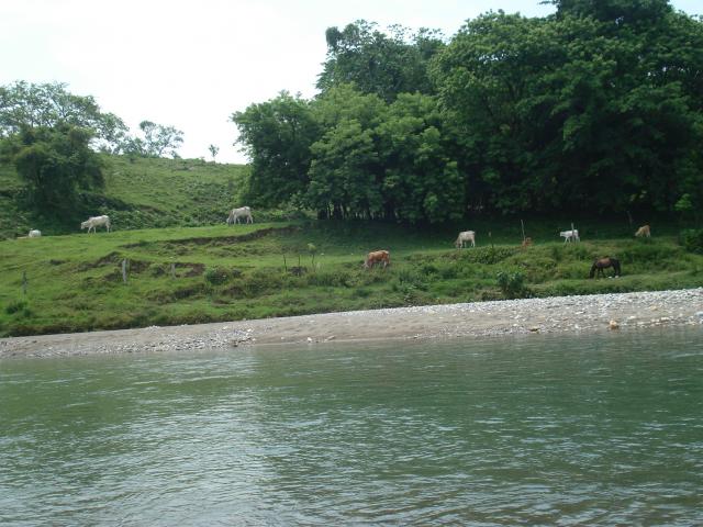 Naturaleza a la orilla del Rio Zempoala / Cempoala