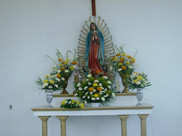 Virgen De Guadalupe