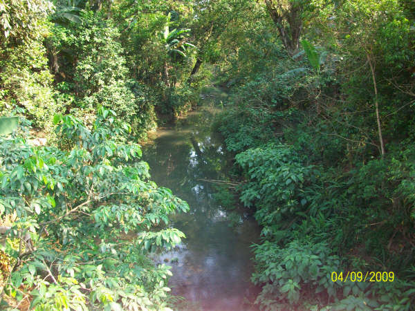 rio del puente del rancho por donde vive  mr beto